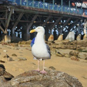 Meet your Posher, Lorena